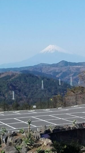 伊豆シャボテン動物公園の富士山見晴らし台からの眺め