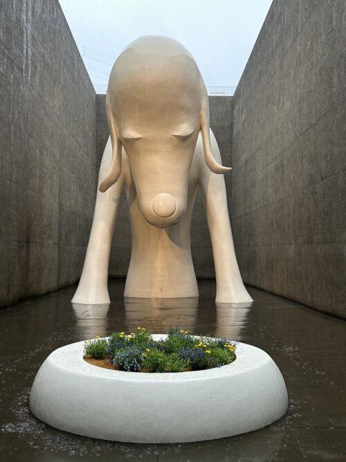 青森県立美術館のあおもり犬