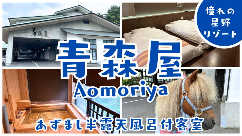 星野リゾート青森屋あずまし半露天風呂付客室の紹介画像