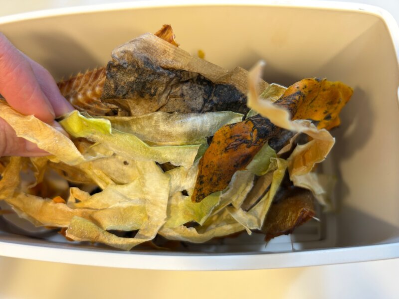 生ごみ乾燥機RITAKU(リタク)で乾燥してパリパリになった生ごみ